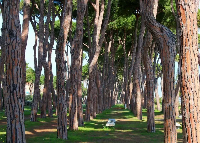 Apartman Ginevra Pineto